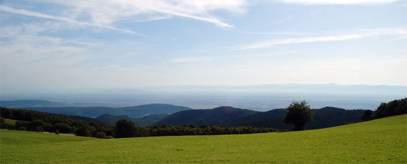 20090816 3870 0299 3km van top grand ballon