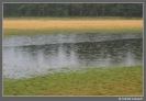 Eifel 2008 in de regen_5